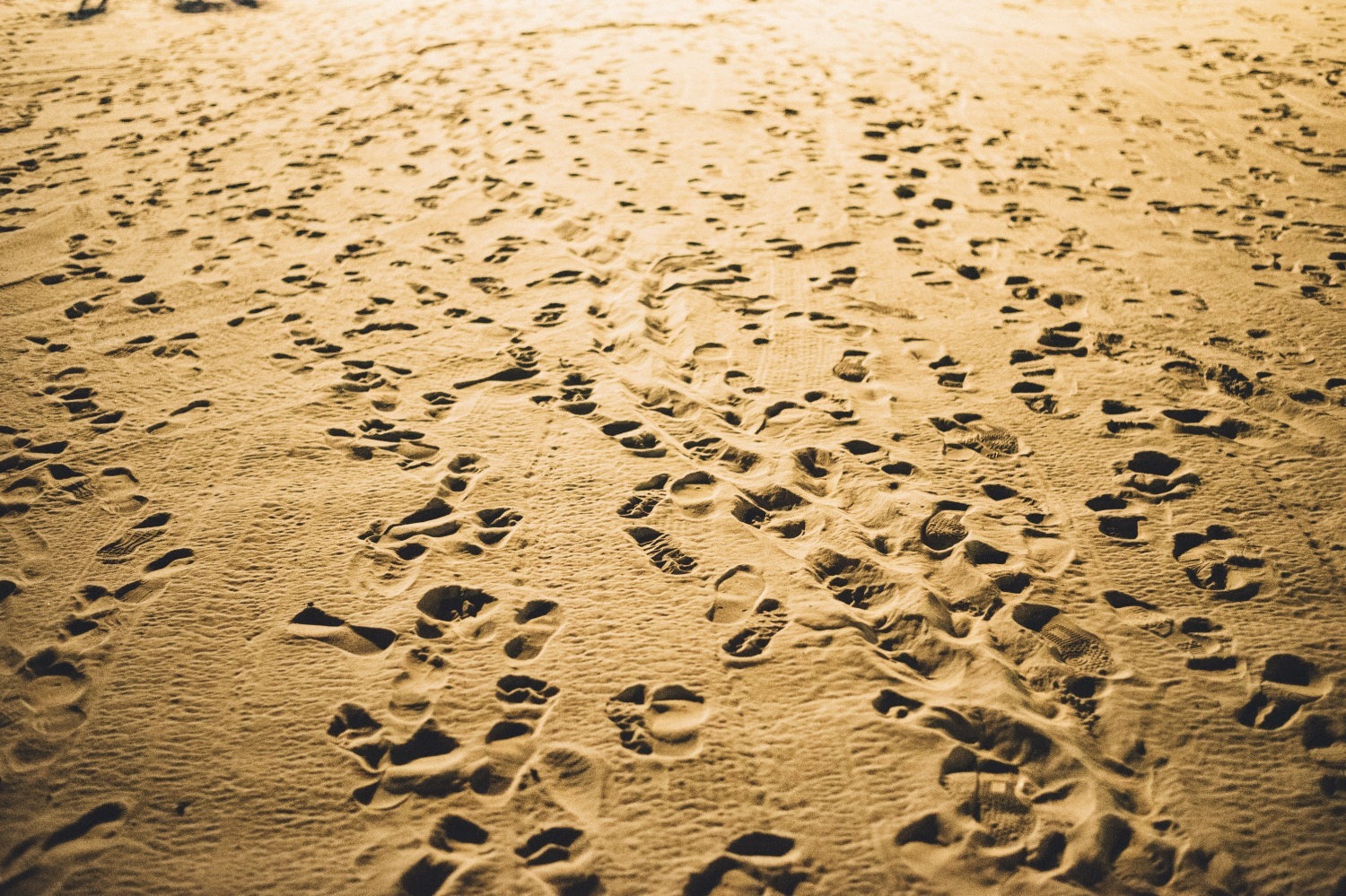 Fussspuren im sand steps