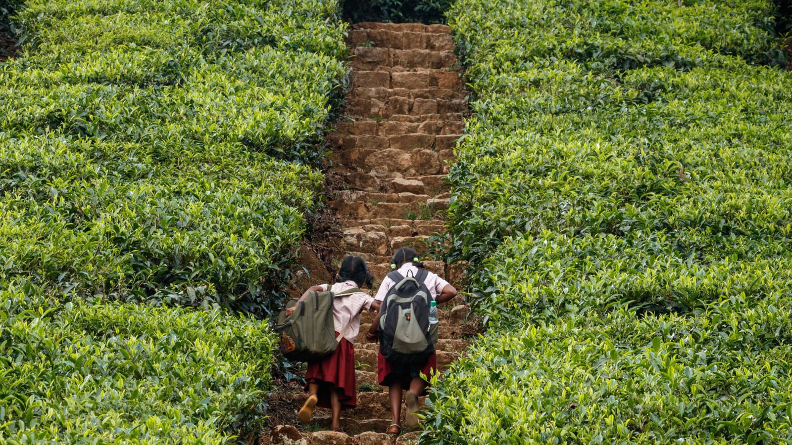 Maedchen laufen treppe